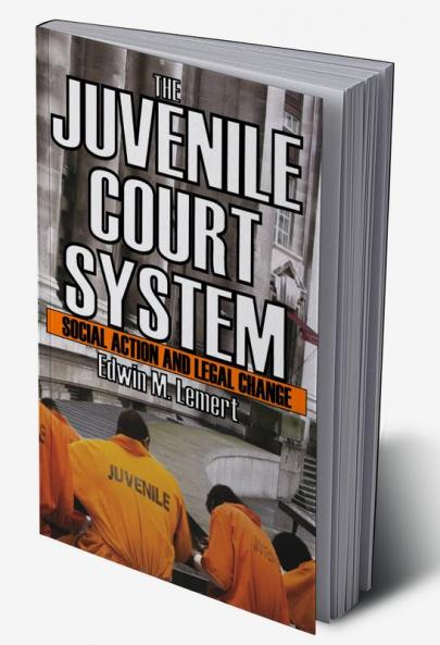 Juvenile Court System