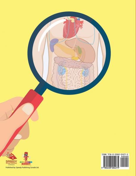 Human Anatomy 101