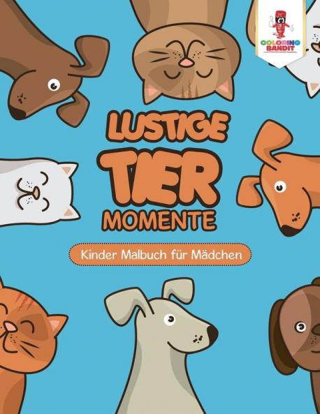 Lustige Tier Momente