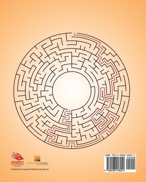 Maze Genius Grade 3 Volume 3