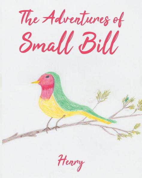 Adventures of Small Bill