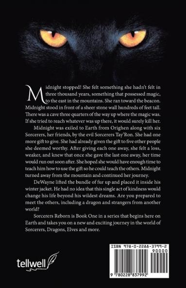 Sorcerers Reborn