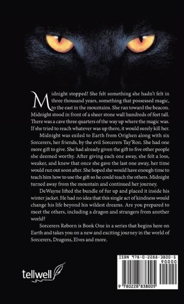 Sorcerers Reborn