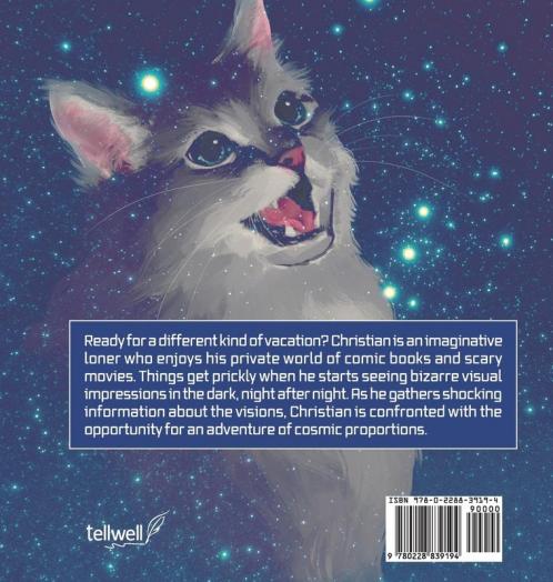 Flying Saucer Visions