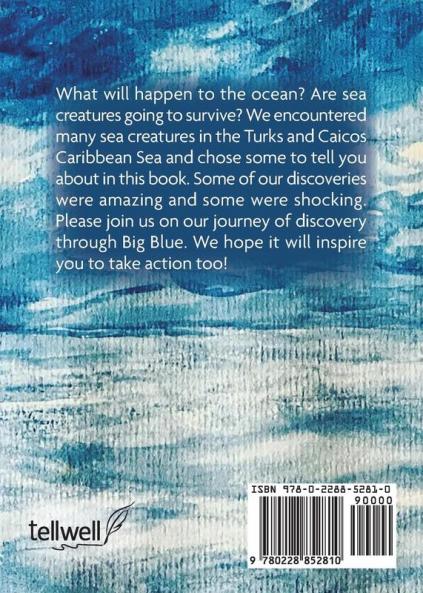 Journey of Discovery Through Big Blue