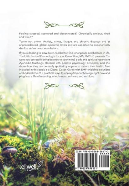 Little Book of Grounding