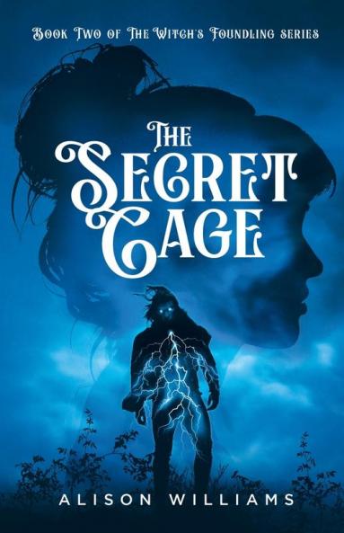 Secret Cage
