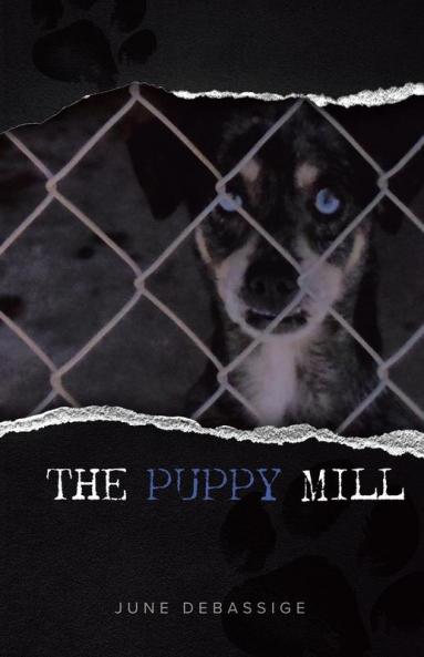 Puppy Mill