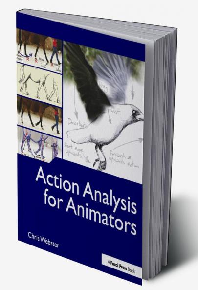 Action Analysis for Animators