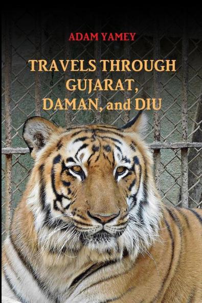 TRAVELS THROUGH GUJARAT DAMAN AND DIU