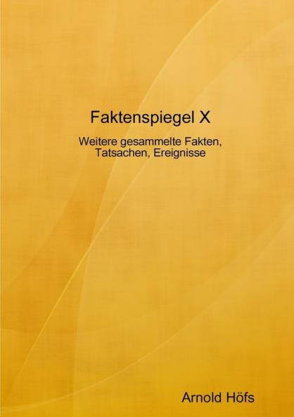 Faktenspiegel X