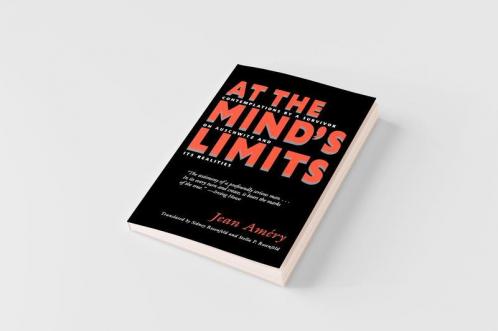 At the Mind S Limits