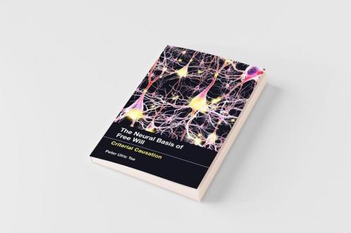 Neural Basis of Free Will