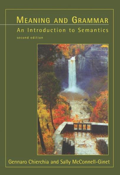 Meaning and Grammar second edition