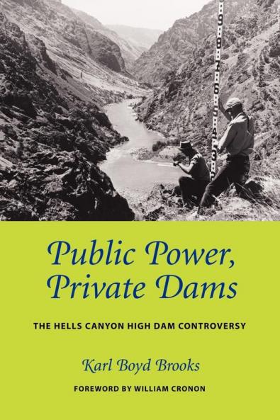Public Power Private Dams