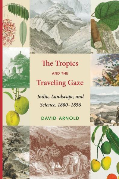 The Tropics and the Traveling Gaze