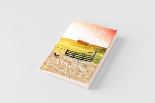 What's So Amazing About Grace? Study Guide