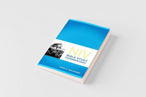 NIV Bible Study Commentary