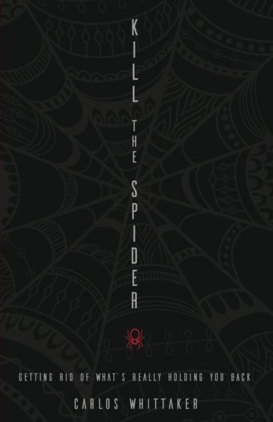 Kill the Spider