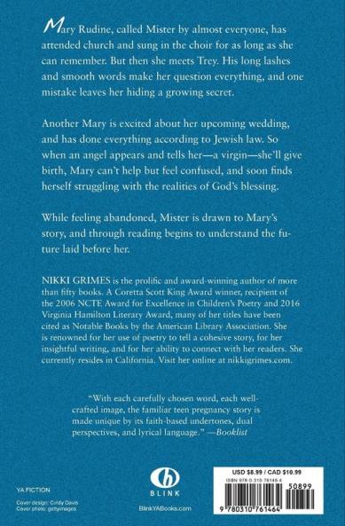 A Girl Named Mister