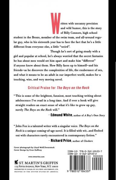 The Boys on the Rock: A Novel (Stonewall Inn Editions)