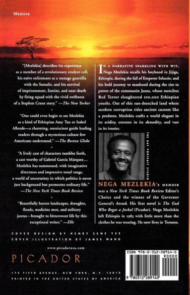 Notes from the Hyena's Belly