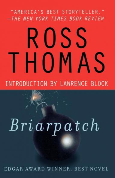 Briarpatch: A Novel