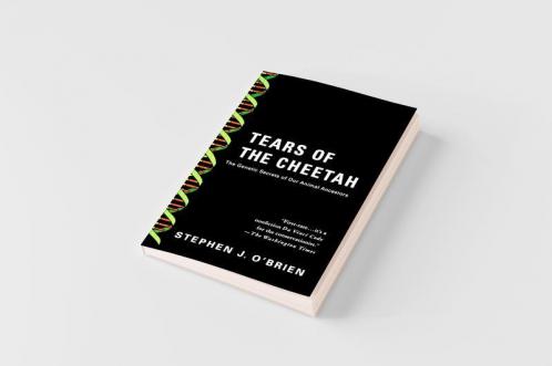 Tears of the Cheetah