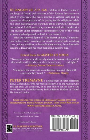 Master of Souls: A Mystery of Ancient Ireland: 16 (Mysteries of Ancient Ireland 16)