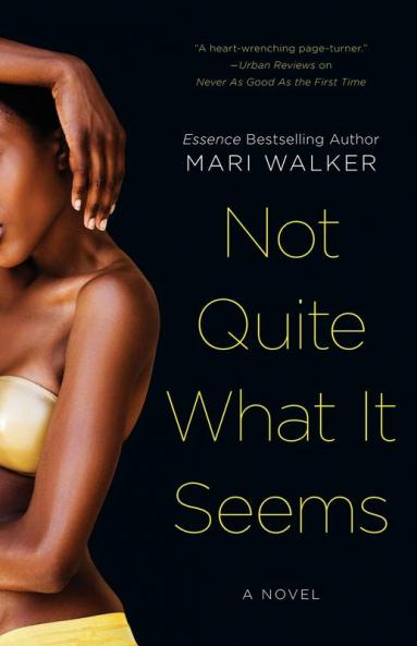 Not Quite What It Seems: A Novel