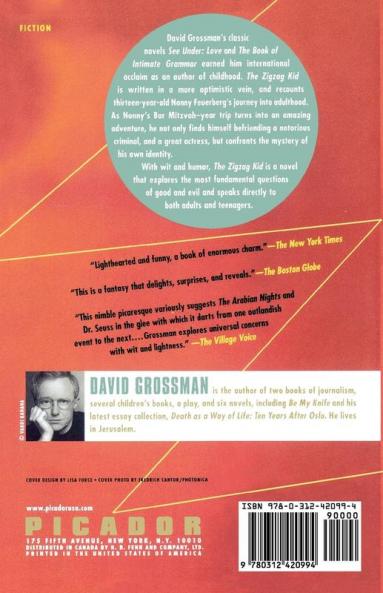 The Zig Zag Kid: A Novel