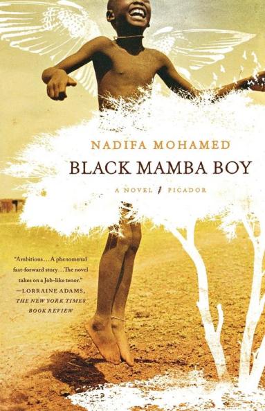 Black Mamba Boy: A Novel
