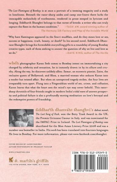 The Lost Flamingoes of Bombay: A Novel