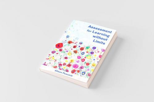 Assessment for Learning without Limits