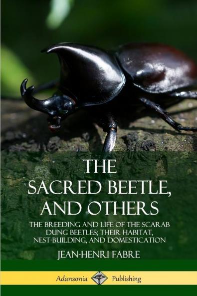 The Sacred Beetle and Others