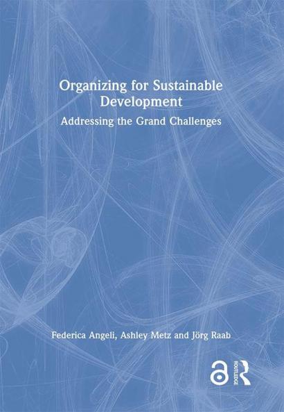 Organizing for Sustainable Development