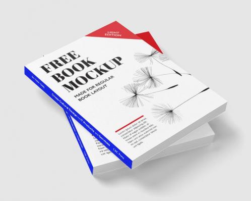 Cross-Cultural Design for IT Products and Services