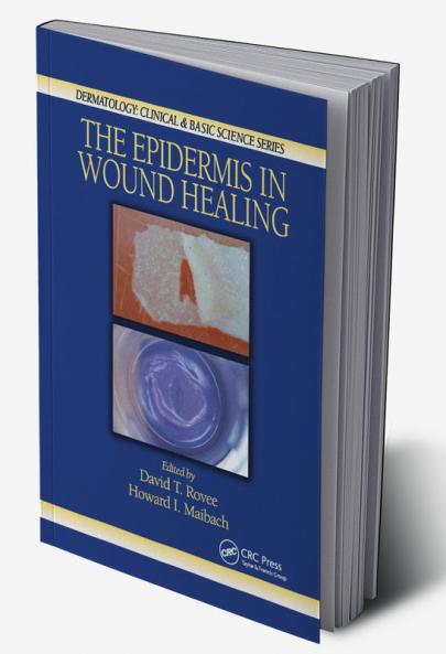 Epidermis in Wound Healing