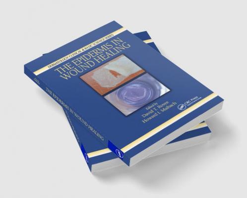 Epidermis in Wound Healing