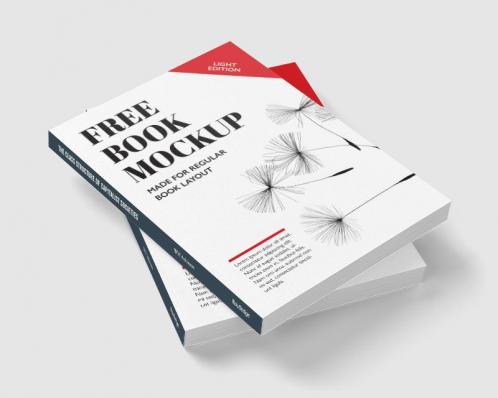 Class Structure of Capitalist Societies