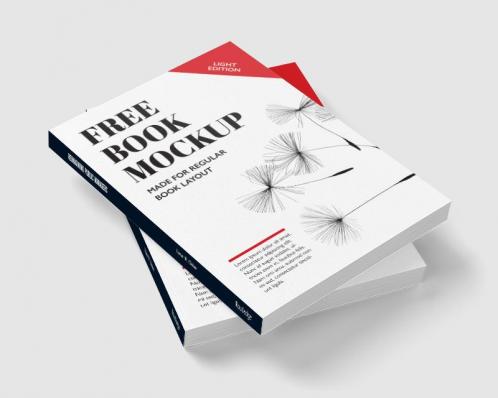 Reimagining Public Managers