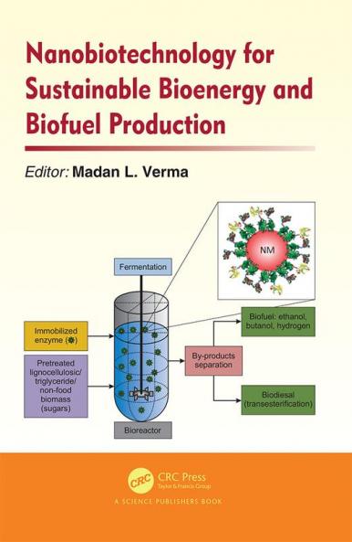 Nanobiotechnology for Sustainable Bioenergy and Biofuel Production