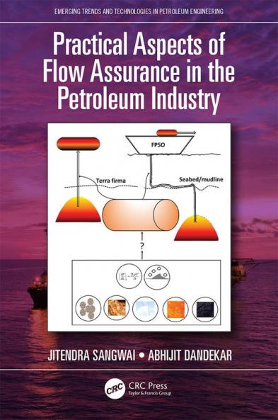 Practical Aspects of Flow Assurance in the Petroleum Industry