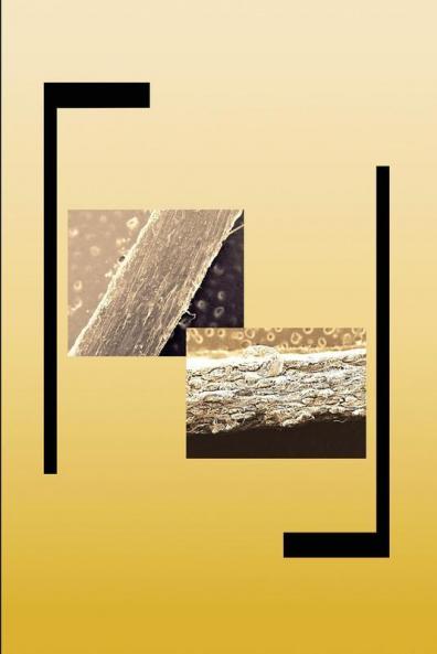Single-Polymer Composites