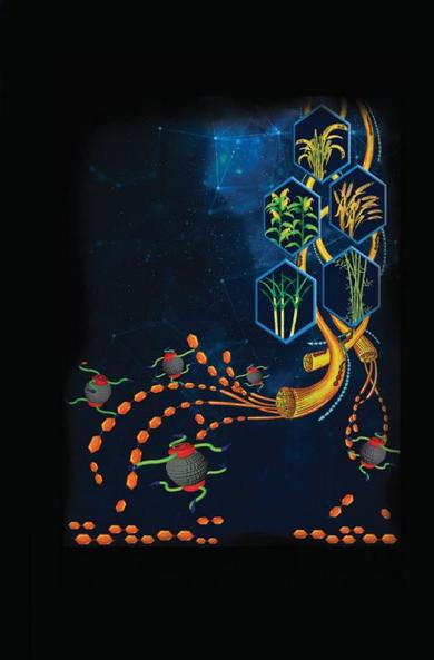 Bioethanol and Natural Resources