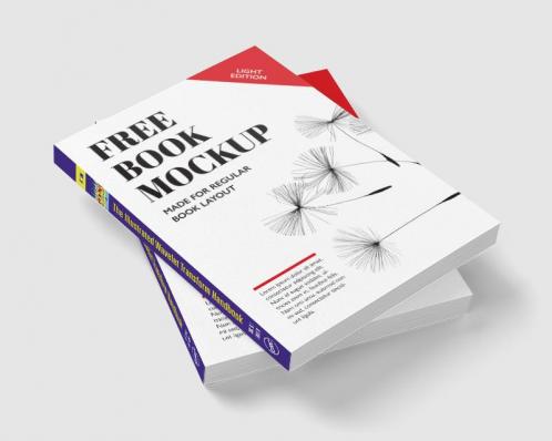 Illustrated Wavelet Transform Handbook