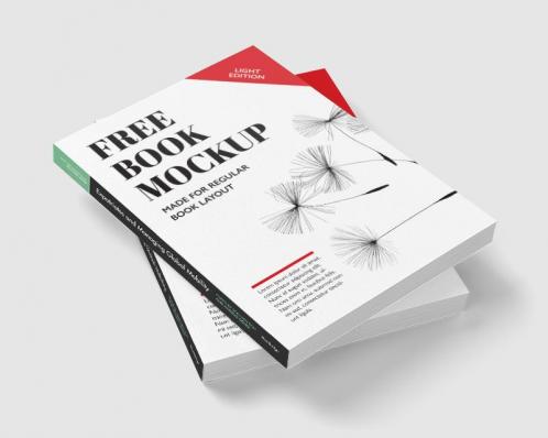 Expatriates and Managing Global Mobility