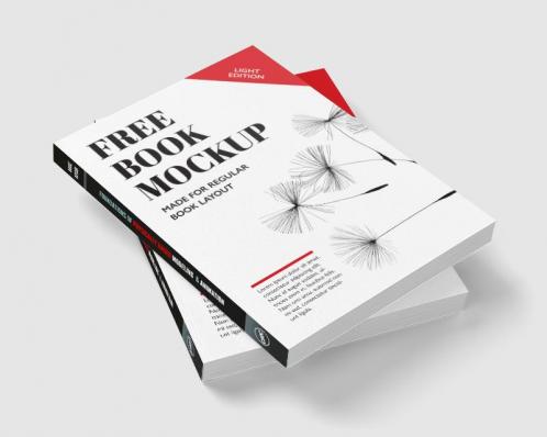 Foundations of Physically Based Modeling and Animation