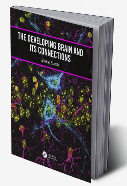 Developing Brain and its Connections