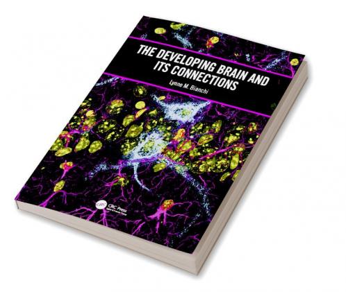 Developing Brain and its Connections